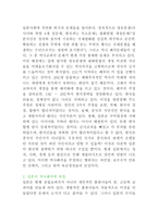 민족 간의 갈등에 대한 보고서-8