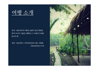동남아의 눈물샘을 찾아서-2