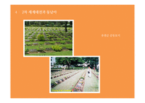 동남아의 눈물샘을 찾아서-13