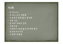 보르헤스 영향관계 연구 존바스미로에서길을 잃고-2