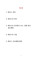테니스 테니스의 경기방식 코트 진행방식 점수 체계-1