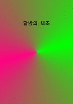 야간운동 달밤의 체조-1