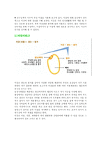미강 쌀 겨울 통한 각질 제거-2