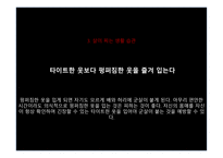 세상 모든 여자들의 꿈 다이어트-6