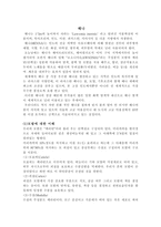 헤나의 이해-1