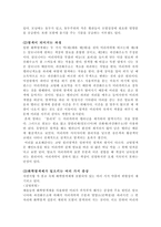 헤나의 이해-2