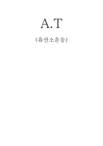 유산소 운동 AT-1