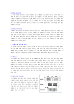 근육의 구조와 특성 보고서-2