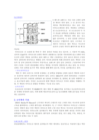 근육의 구조와 특성 보고서-3