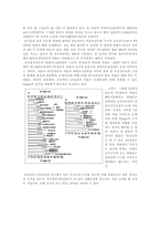 근육의 구조와 특성 보고서-6