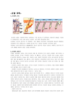 모발의 질환과 관리-2