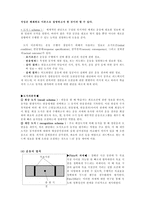 운동 제어체계-4