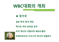 World Baseball Classic-4