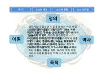 소스에 대한 조사보고서-5