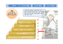 소스에 대한 조사보고서-16