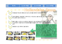 소스에 대한 조사보고서-19