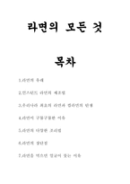 라면의 모든 것 보고서-1