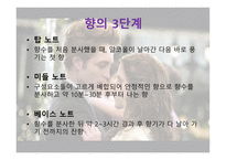 향수 커뮤니티-7