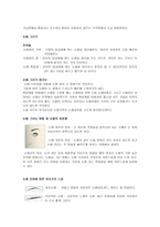 메이크업 makeup화장품학-3