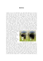 황반변성 보고서-1