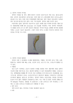 경막외 마취-2
