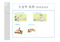다양한 성적활동-14