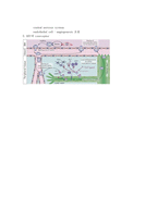 의대 본과 4학년 PK과제 Cytokine 사이토카인-5