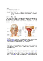 경추의 이해-5