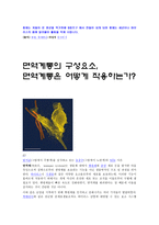 림프 계통과 면역계통-3