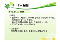 나노기술의 어제오늘 그리고 내일-12