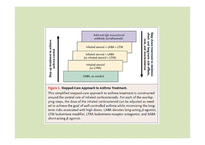 의대 본과 4학년 PK과제 DRUGTHERAPY Asthma-14