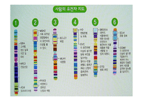 인간 유전자 지도 작성개론-3
