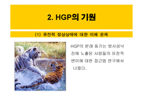 인간 유전자 지도 작성개론-4