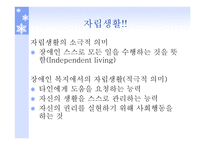 자립생활과 역량강화 보고서-3