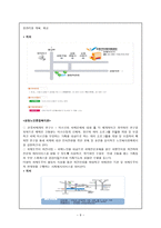치매의 전반적 인조사-9