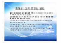 실존 치료 보고서-15