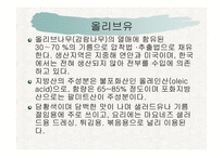 올리브유와 포도씨유-3