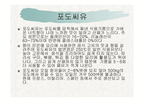 올리브유와 포도씨유-19