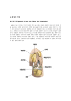 슬관절의 상해 Kneeinjury-8