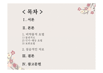통증 관리비 약물 적요 법-2