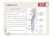 통증 관리비 약물 적요 법-10