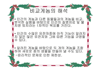비교 게놈 해석-3