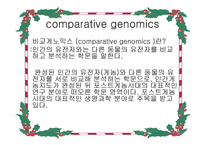 비교 게놈 해석-4