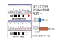 비교 게놈 해석-9