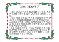 비교 게놈 해석-19