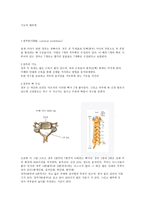 경추의 이해2-2