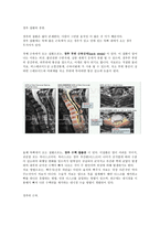 경추의 이해2-3
