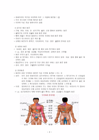통증 및 불안 사정 도구-3
