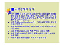 시각장애 정의와 분류-3