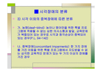 시각장애 정의와 분류-10